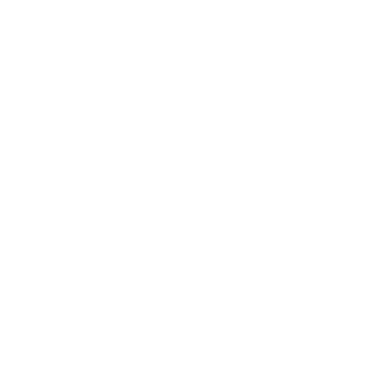 Litigation Group