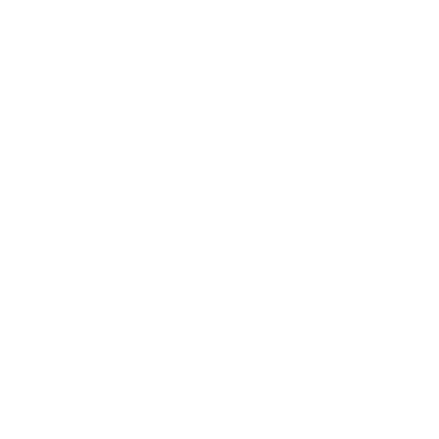 Litigation Group